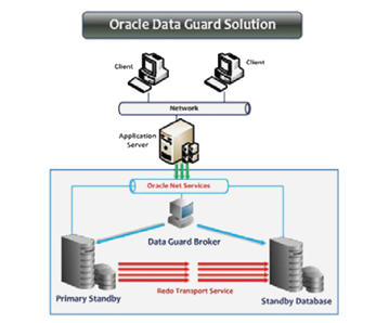 giai-phap-san-sang-cao-oracle-data-guard-5D04BD56.png
